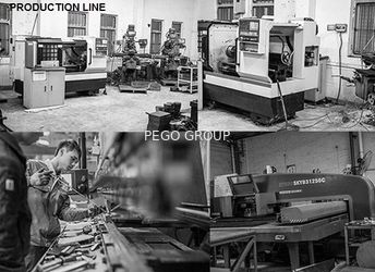 Pego Group (HK) Company Limited
